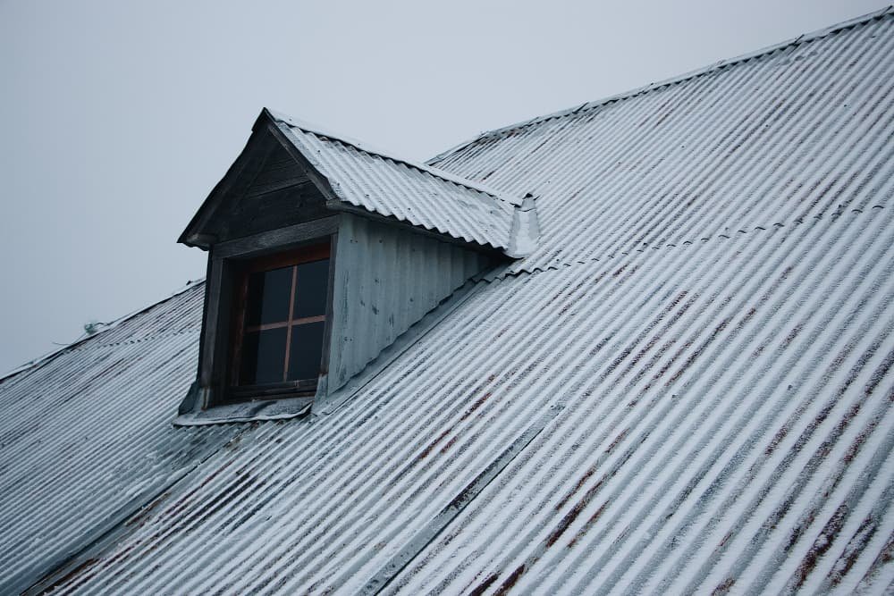 Roofline and attic access area showing shingles, soffits, vents, and upper wildlife entry points on a home